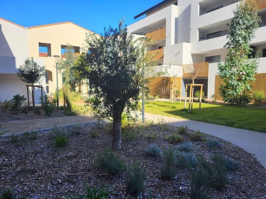 L'Appartement De L'Artiste Marseillan  Exteriör bild